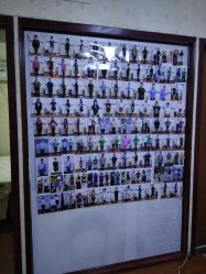 -维纳斯专业减肥