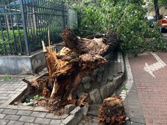 -芝麻花餐厅(祁家豁子店)
