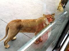 -西安秦岭野生动物园