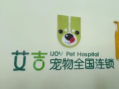 -艾吉宠物医院·疑难杂症转诊中心·猫友好(碧江路院)