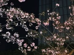-万达广场(合肥天鹅湖店)