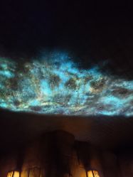 -翱翔飞越地平线