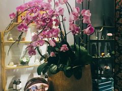 -璞·澐间影院式足道SPA(尚悦湾店)