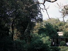 -广州兰圃