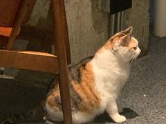 -黑胶星球(华发中城商都店)