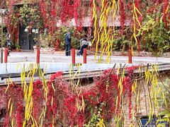 -元大都城垣遗址公园