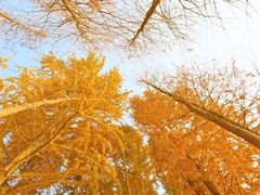 -长广溪湿地公园