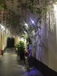 -盘子女人坊生日照·摄影馆(华强店)