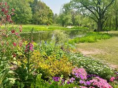 -上海共青森林公园