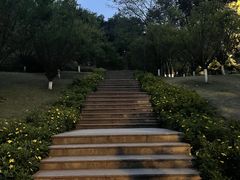 -武陵山森林公园