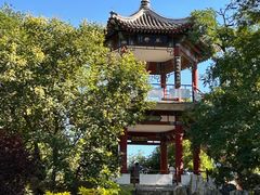 -莲花池公园