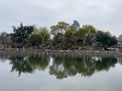 -北湖公园