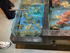 -宁海食府(大剧院店)