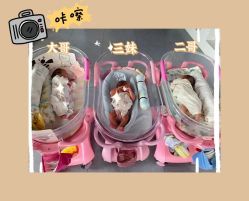 -蓓儿悦月子会所(日月大道店)