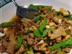 -费大厨辣椒炒肉(万家丽一店)