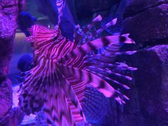 -沈阳海洋探索中心