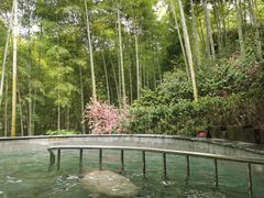 -天目湖御水温泉·度假酒店