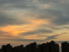 -宁波杭州湾国家湿地公园