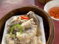 -东郊椰林