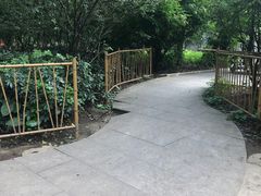 -小洲村