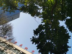 -广州市东风实验学校