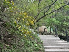 -王顺山国家森林公园