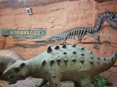 -河南自然博物馆