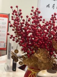 -上海玫瑰医疗美容医院