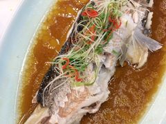 -盒马渔市餐厅