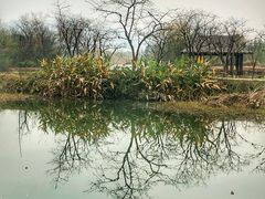 -烟水渔庄餐厅(西溪湿地店)