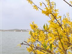 -云龙湖旅游景区