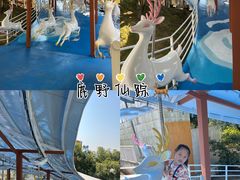 -盈香心动乐园