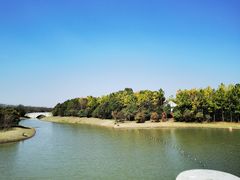 -上海海湾国家森林公园