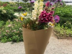 -前小桔亲子创意农场·草莓采摘·露营烧烤