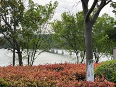 -昆山城市生态森林公园