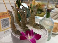 -椰子不语 椰子鸡火锅(淮海店)