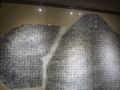 -烟台市博物馆