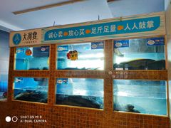 水产区-大河宴·椒麻鱼火锅(克拉玛依西路头宫店)