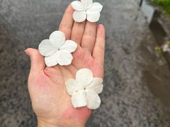 -北高峰