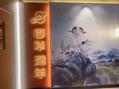 -百草滩羊清水涮羊肉·清真·宁夏盐池滩羊(莲花桥店)