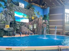 -珠海长隆海洋王国