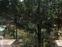 -银瓶嘴森林公园