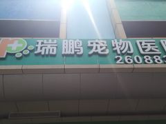 -瑞鹏宠物医院·骨科·猫科·内科(第一中心)