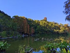 -深圳仙湖植物园