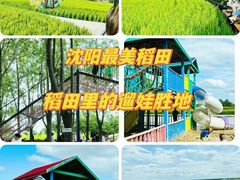 -稻梦空间