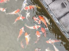 -梧桐人家中国太平国际健康颐养社区