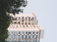 -中山公园