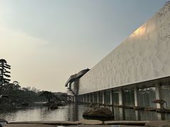 -罗红摄影艺术馆