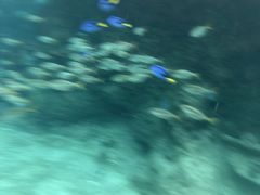 -新加坡水上探险乐园