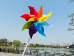 -上海长兴岛郊野公园